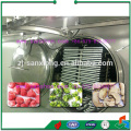 strawberry Vacuum Freeze Dryer